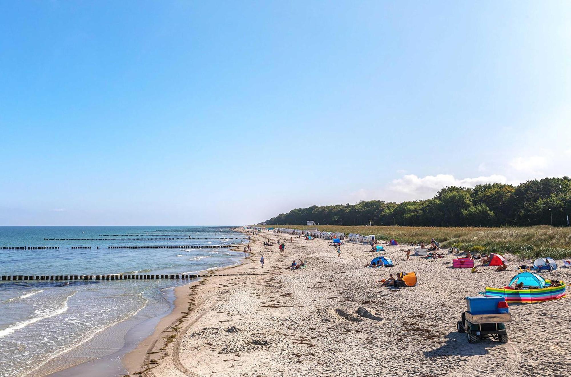 Seebaer Mit Terrasse Zingst