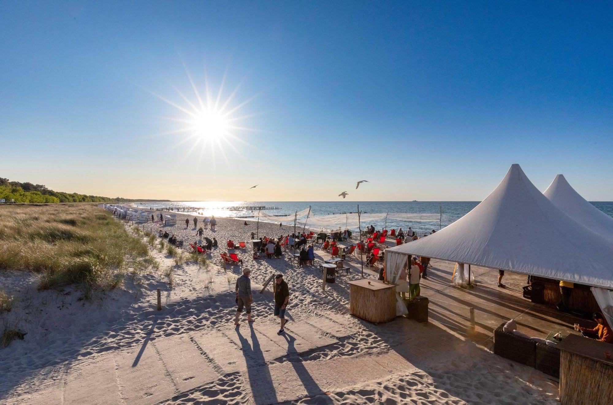Seebaer Mit Terrasse * Zingst